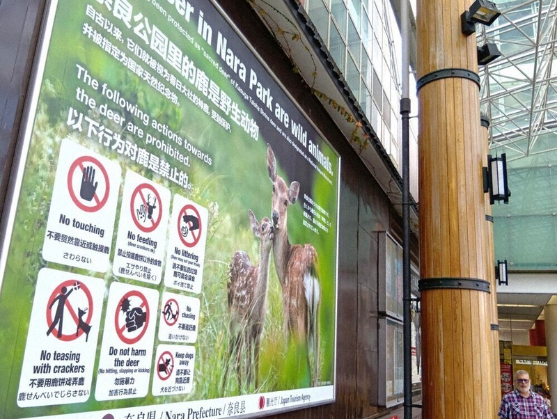 鹿せんべいでじらさない」 奈良公園の「シカマナー」、看板で周知