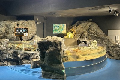 写真 | 毎日新聞