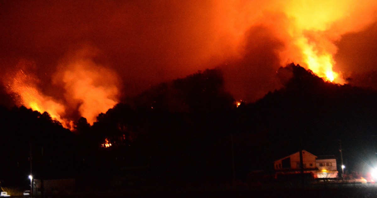 愛媛で初の「林野火災警戒アラート」　空気乾燥、火の使用に注意