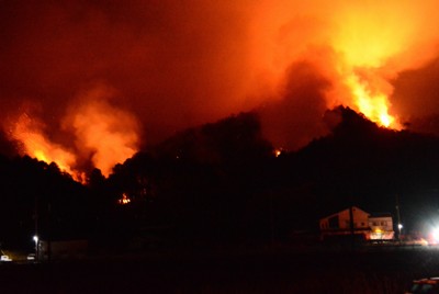 愛媛県今治市長沢で民家の裏山近くに燃え広がった山林火災＝2025年3月24日、松倉展人撮影