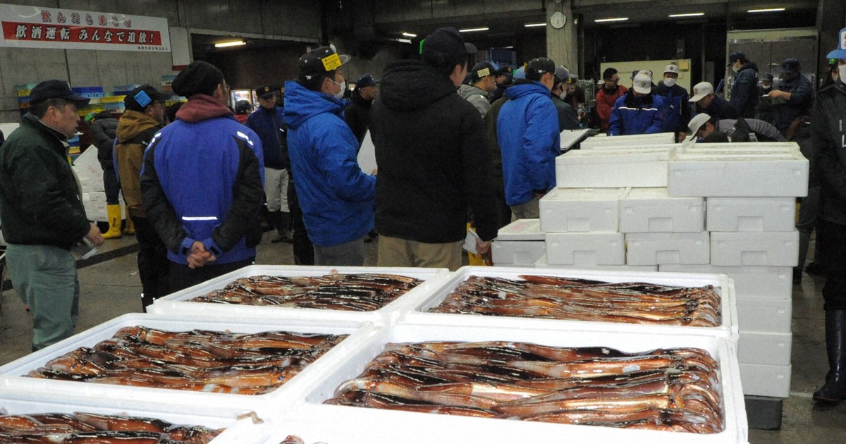 Why the fishing ban for Japanese flying squid, and how has it hit the Hokkaido fishery?