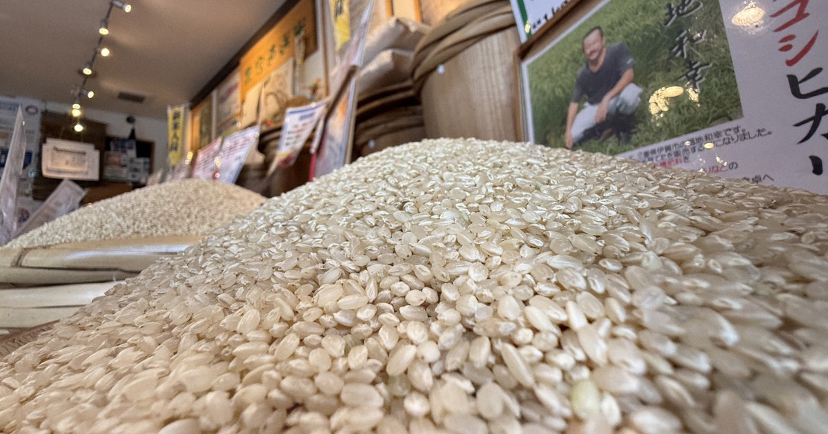 ＜1分で解説＞5キロ4335円　どうしてコメ価格が過去最高に?