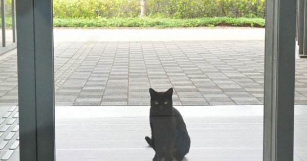 アート・書 | 毎日新聞