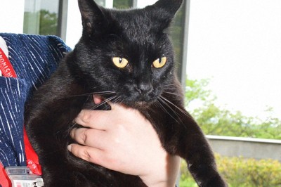 写真 | 毎日新聞