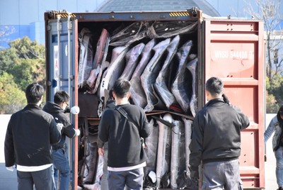 ラップに巻かれた高級車　出港寸前の積み荷でわかった盗難車の行き先