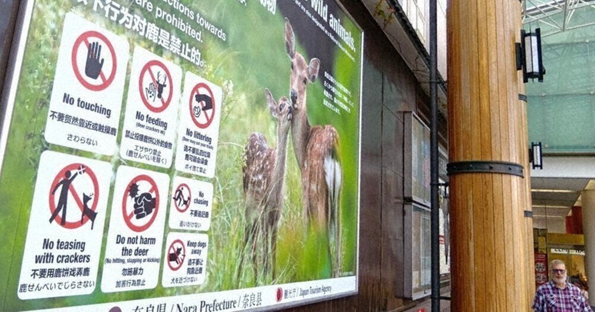 New multilingual sign near Nara Park urges visitors against 'teasing deer with crackers'