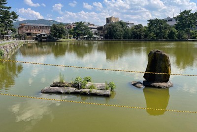 澄まず・濁らずの池が変色　観光名所の異変、原因突き止めた大学院生
