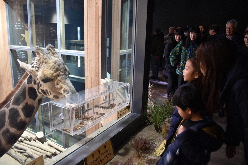 キリン様　御確認用ページです。 6さいからのニュース：キリンの目のたかさで | 毎日新聞