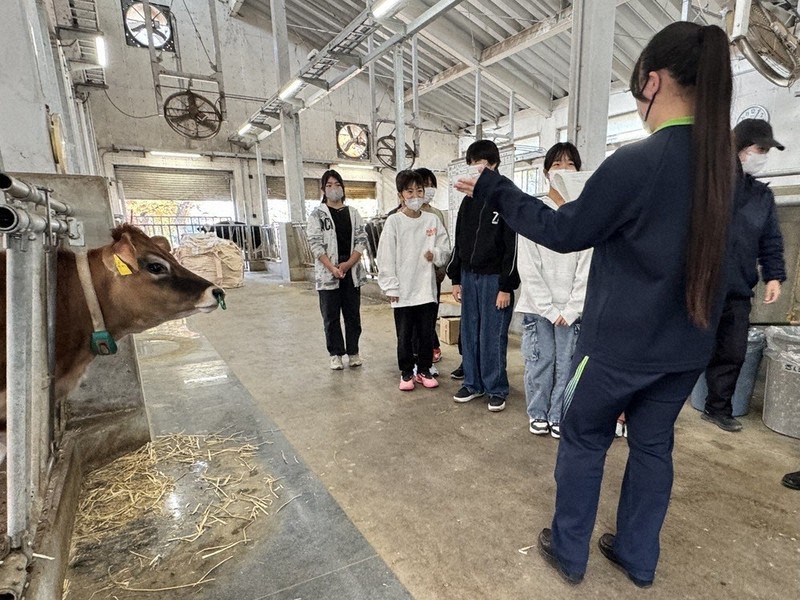 職業高訪ね 将来思う 熊谷で小学生「キャリア教育」6年目 「牛かわいい