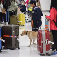 国際便の到着客で賑わう神戸空港第2ターミナルの手荷物受取所＝神戸市中央区で2025年12月1日午前10時17分、稲田佳代撮影