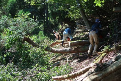 2025年8月の下見でも伐開作業を行った＝吉田一郎さん提供