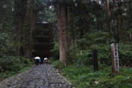 羽黒山の杉林にりんと立つ国宝・五重塔。肌寒い時雨の中、塔までもが肩をすぼめているかのようだった＝山形県鶴岡市で2025年10月20日、森忠彦撮影