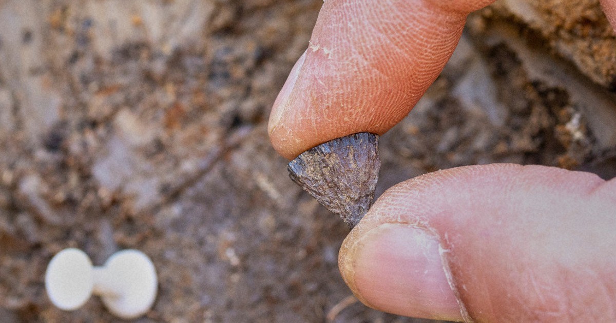 Study finds humans were making fire 400,000 years ago, far earlier than once thought