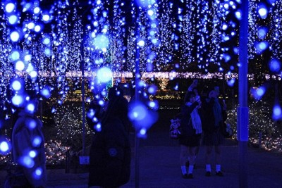 栃木県足利市の「あしかがフラワーパーク」で大藤棚を再現したイルミネーションを楽しむ人たち（共同）