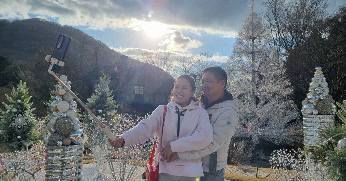 輝く巨大ガラスツリー 箱根 ／神奈川 | 毎日新聞