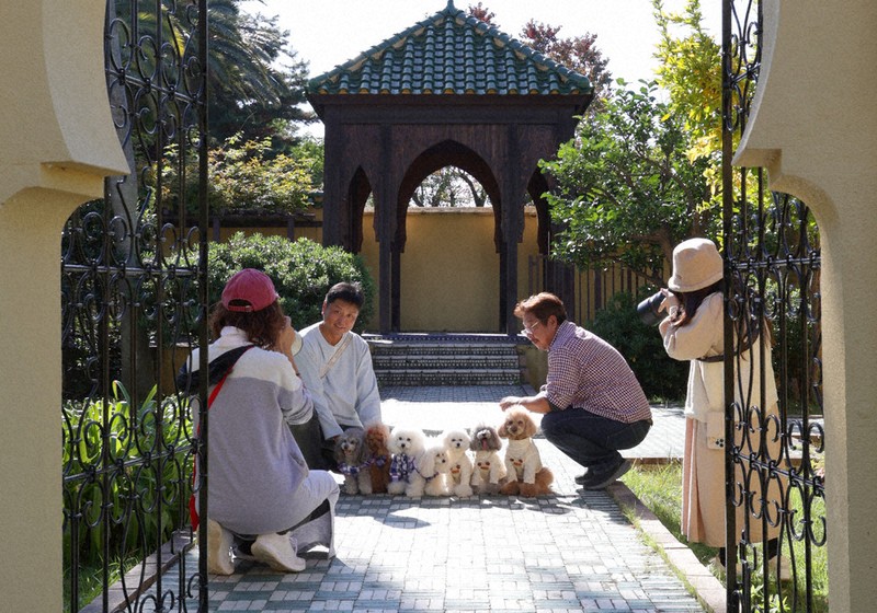 専用　アイクルール　金閣庭園の新緑 View＋：花博記念公園鶴見緑地 レガシー、難しき継承 ／大阪