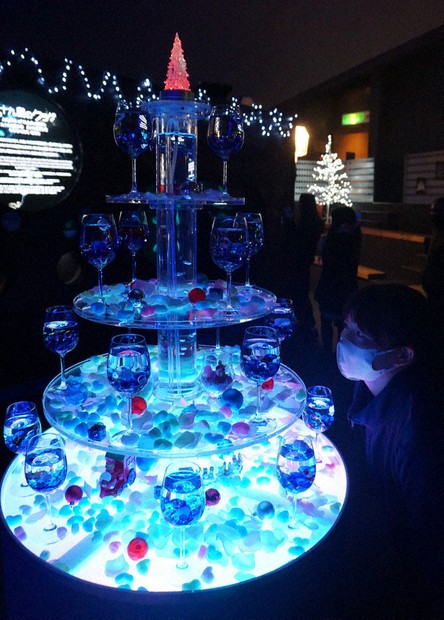 【展示コレクション級】水入り　水晶ポイント　博物館クラス　水多数あり Xマス気分にダイブ 九十九島水族館 ／長崎 | 毎日新聞