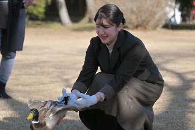 駐日大使らの前でカモを放鳥される天皇、皇后両陛下の長女愛子さま＝埼玉県越谷市の埼玉鴨場で2025年12月17日午後0時14分、手塚耕一郎撮影