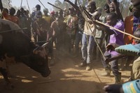 A crowd of spectators encircles a fighting bull during a bullfight in Kakamega, Kenya, Nov. 29, 2025. (AP Photo/Brian Inganga)