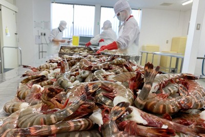 「欠勤連絡は禁止」で業績好調に　逆転の発想生んだ経営者の原点