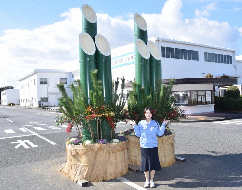 アウトレット限定 クロマツ 門かぶり風這わせ 九州の方は地域により