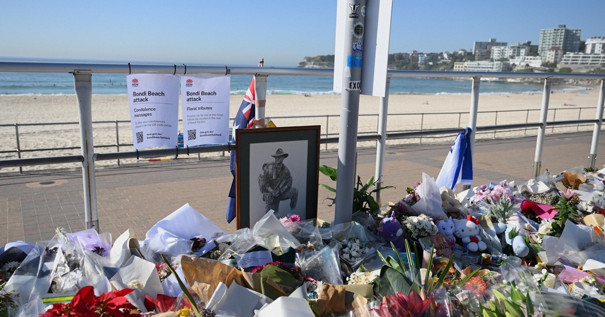 豪政府が大規模な銃の買い戻し政策を発表　数十万丁を回収へ