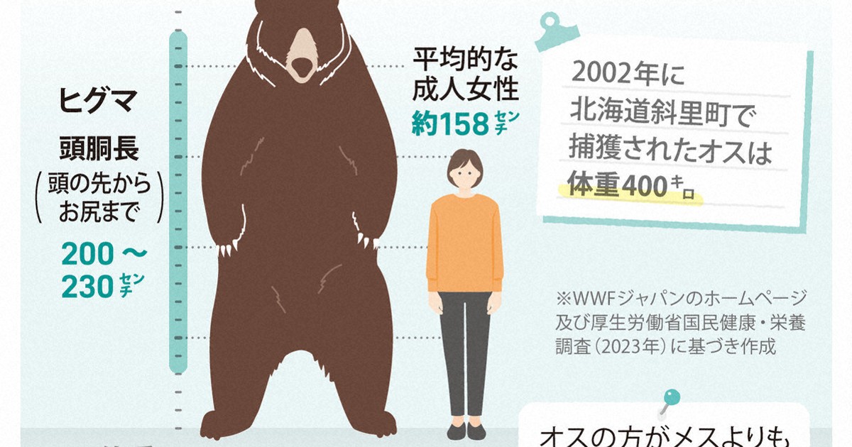 図解】もしクマに遭遇したら…どうする？ 驚きの生態とは [写真特集2/6