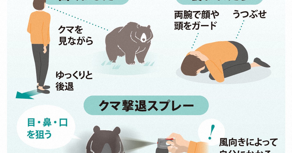 もしクマに遭遇したら…どうする？ 図表でわかる驚きの生態 [写真特集1