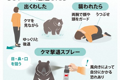 もしクマに遭遇したら…