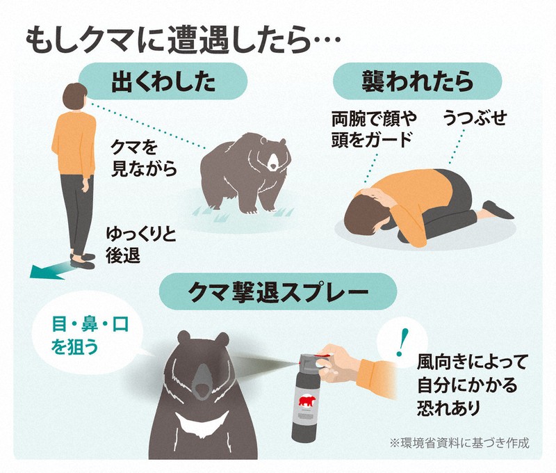 もしクマに遭遇したら…