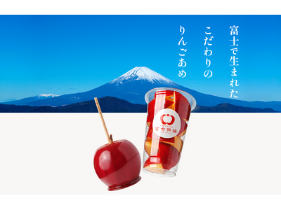 ふぞろいの林檎たち〈初回限定生産スペシャルBOX仕様・5枚組〉 ふぞろいの林檎たち〈初回限定生産スペシャルBOX仕様・5枚組〉 DVD