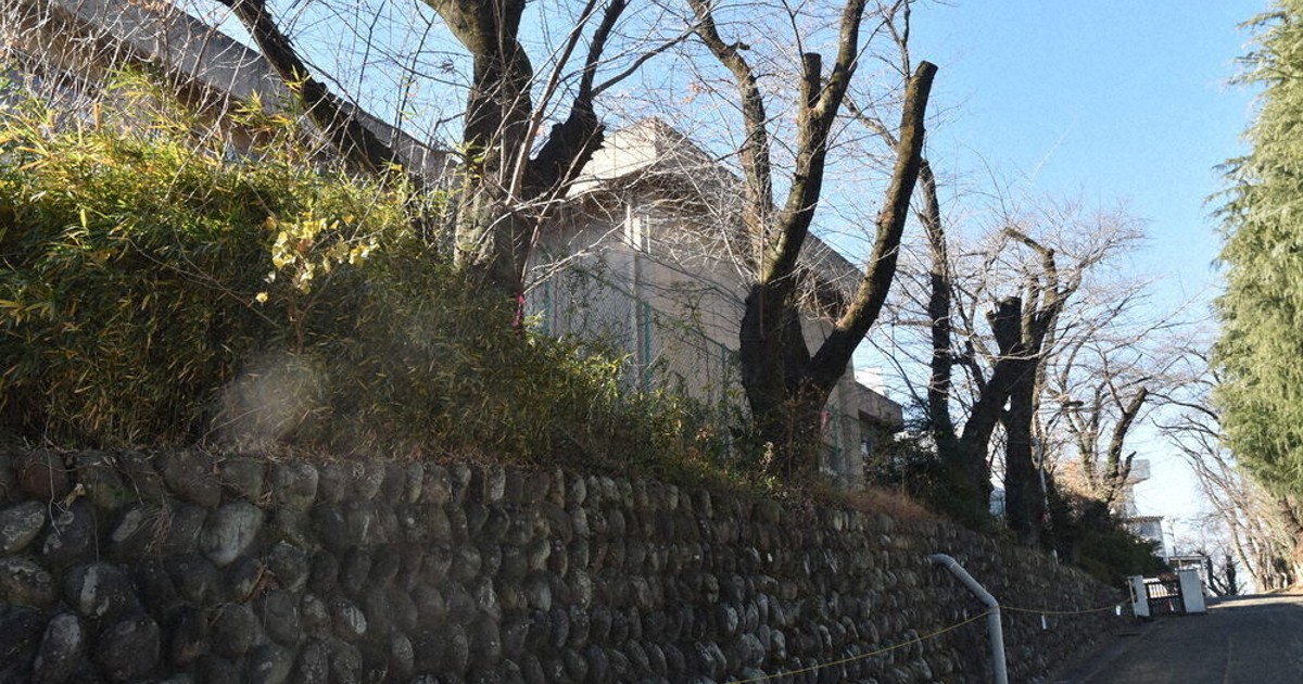 桐生・旧南高跡地の桜80本を伐採へ