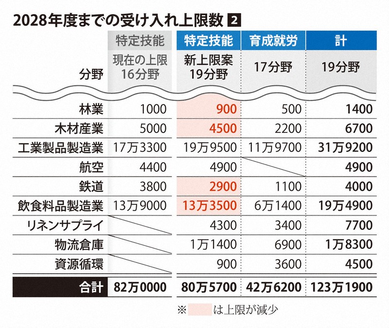 2028年度までの特定技能と育成就労での受け入れ上限数②