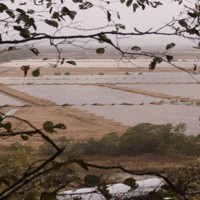 釧路湿原を見渡せる高台から見下ろす国立公園外の湿原は、太陽光パネルで埋め尽くされようとしている＝北海道釧路町で2024年10月15日午後3時51分、本間浩昭撮影