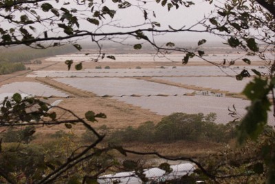 釧路湿原を見渡せる高台から見下ろす国立公園外の湿原は、太陽光パネルで埋め尽くされようとしている＝北海道釧路町で2024年10月15日午後3時51分、本間浩昭撮影