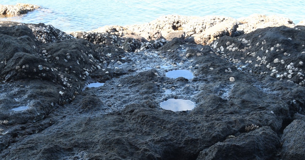 波打ち際の穴が証人 三大急潮に浮かぶ「来島城」伝える海賊の記憶