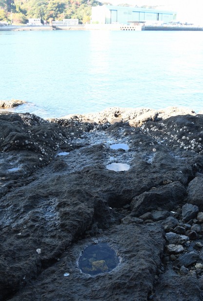 波打ち際の穴が証人 三大急潮に浮かぶ「来島城」伝える海賊の記憶