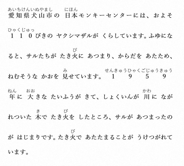 Easy Japanese news in translation: Monkeys warm up by bonfire at