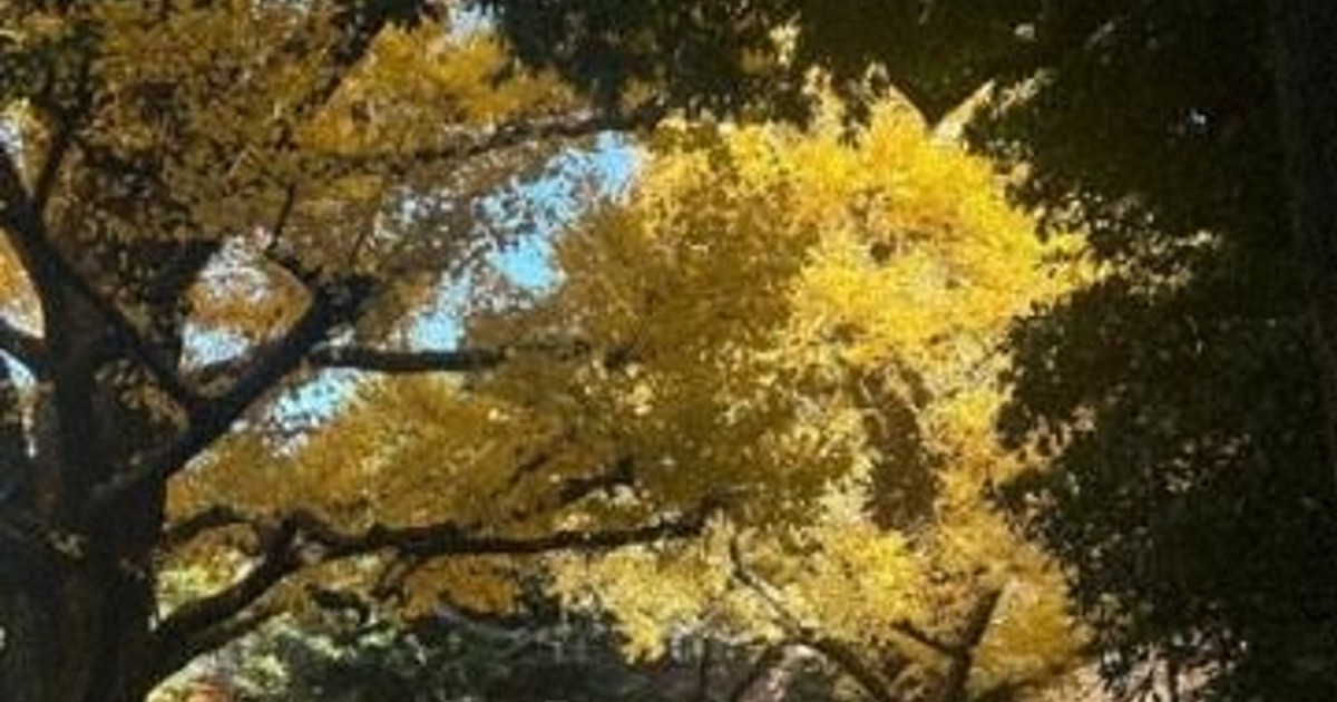 Living in Japan -- An Exchange Student's View: Once-in-a-lifetime encounters (Pt. 11)