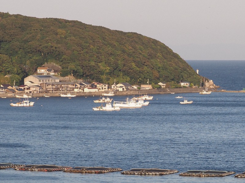 椿泊半島の南岸に建つ椿泊小。藩政時代にあった森一族の館は、学校右手（東側）に建つ住宅付近にも広がっていたとみられる。右奥は紀伊水道＝徳島県阿南市で2025年11月15日午後4時5分、植松晃一撮影