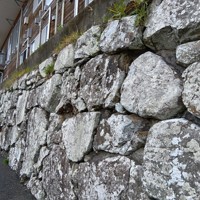 椿泊小の校舎を今も支える松鶴城跡の石垣＝徳島県阿南市椿泊町の同小で2025年10月26日午後0時12分、植松晃一撮影