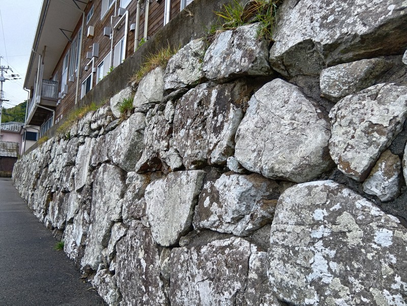 椿泊小の校舎を今も支える松鶴城跡の石垣＝徳島県阿南市椿泊町の同小で2025年10月26日午後0時12分、植松晃一撮影
