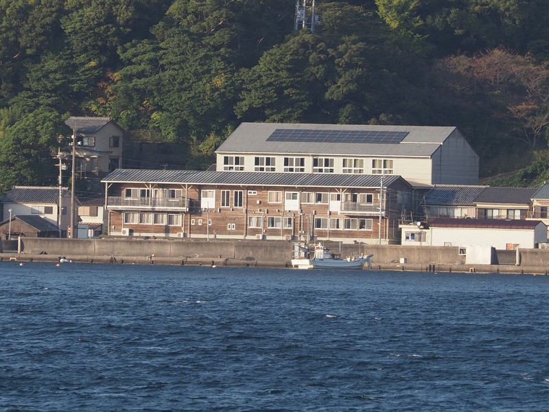 対岸の蒲生田半島から望む椿泊小の校舎（手前）と体育館＝徳島県阿南市で2025年11月15日午後3時42分、植松晃一撮影
