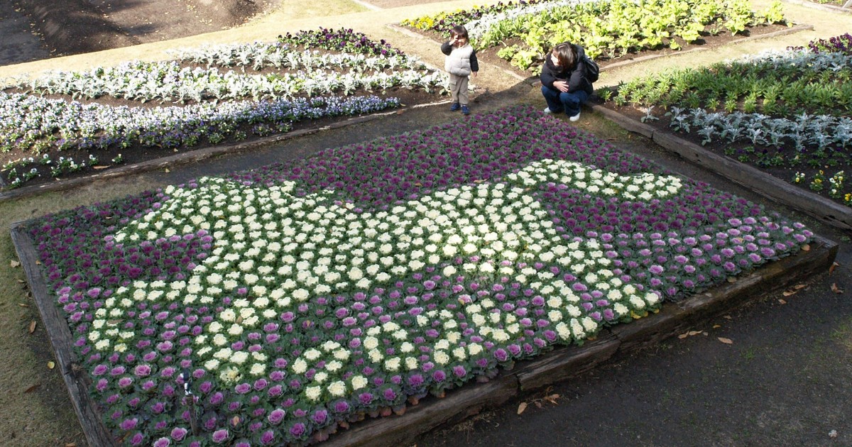 Easy Japanese news in translation: Flower bed shows lively horse in Yamaguchi Prefecture