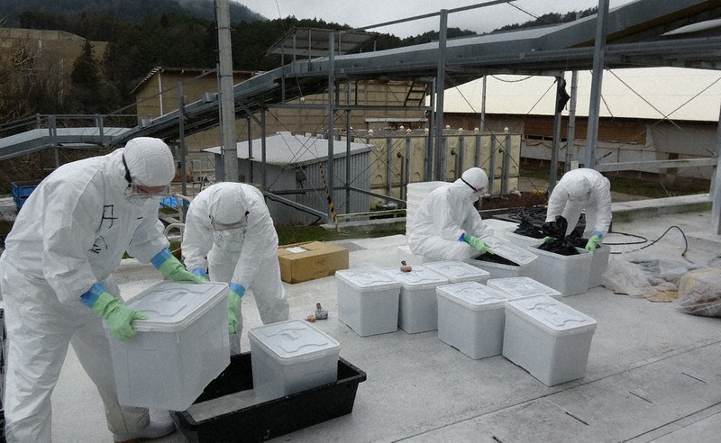 21年ぶり鳥インフル 亀岡で陽性 府、28万羽殺処分 ／京都 | 毎日新聞