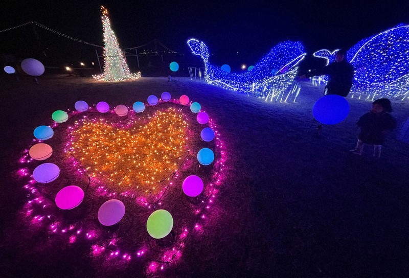 LEDイルミネーション 心温まる輝き 来年も多幸で 明石・大蔵海岸海峡広場でイルミネーション