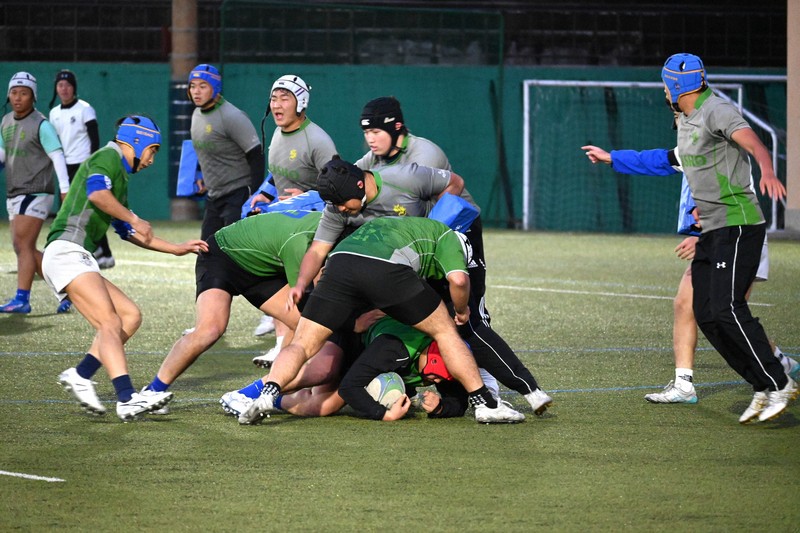 ピラニアタックル」で再び花園へ 完全復活した京都成章のお家芸 | 毎日新聞