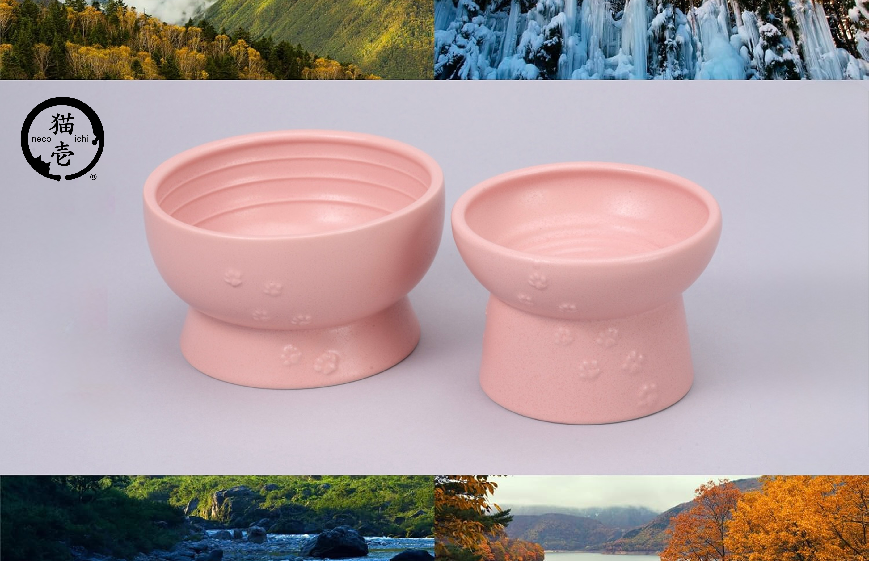 プレスリリース：岐阜・多治見で100年。老舗窯元と猫壱がつくった「猫