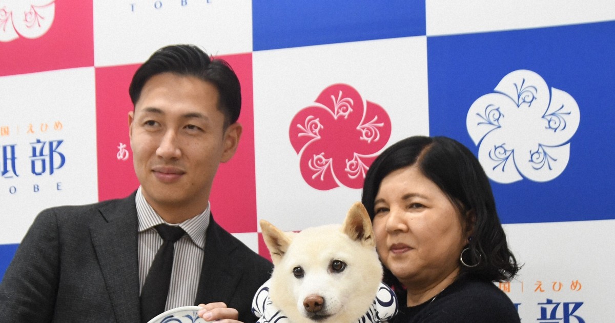 Easy Japanese news in translation: Dog becomes Tobe ware 'wan-bassador' in Ehime Prefecture