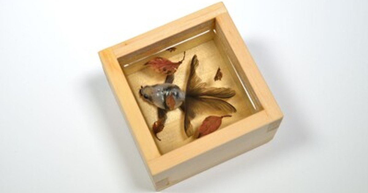 プレスリリース：［阪神梅田本店］金魚に魅せられ8年。その軌跡に思い